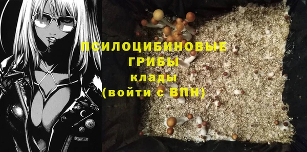 прущие грибы Алексеевка