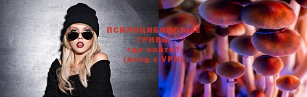 прущие грибы Алексеевка