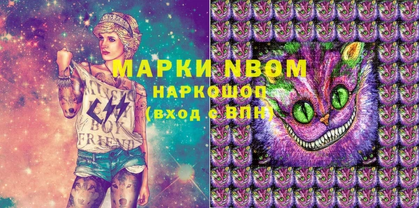 прущие грибы Алексеевка