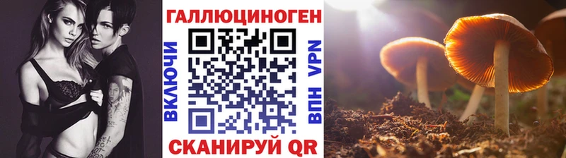 Галлюциногенные грибы Psilocybine cubensis  shop наркотические препараты  Жуковский 