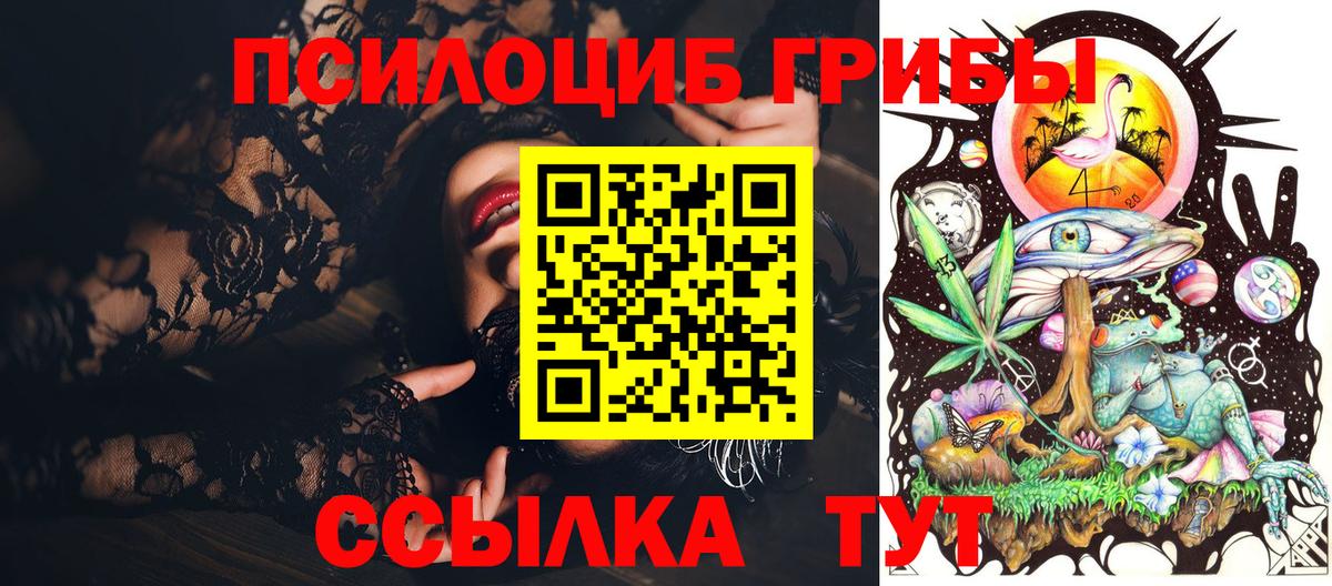 Жуковский  Псилоцибиновые грибы мицелий  Вход с VPN 