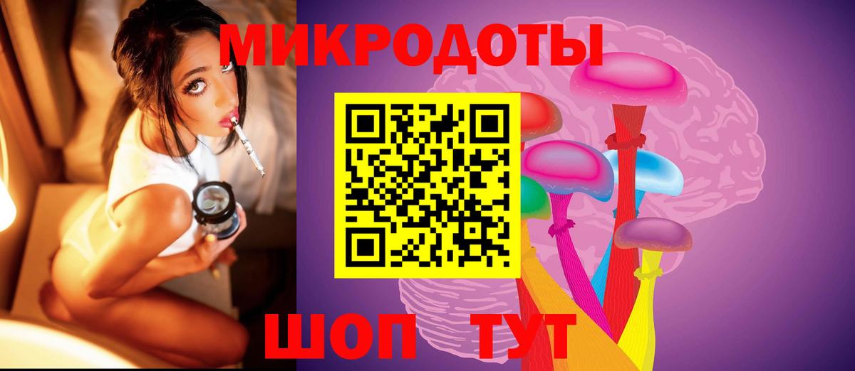 Псилоцибиновые грибы Psilocybe Жуковский